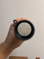 IMG_4575.jpeg