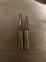 IMG_5518.jpeg