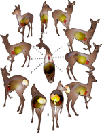 1703692013245.png