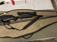 IMG_8556.jpeg
