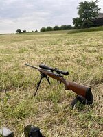IMG_1585.jpeg