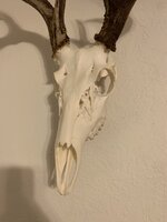 IMG_2879.jpeg