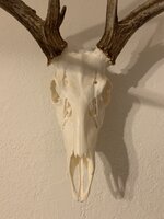 IMG_2878.jpeg