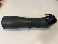 IMG_5283.jpeg