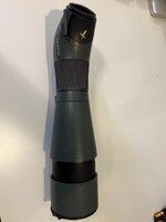 IMG_5288.jpeg