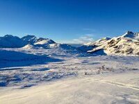 IMG_0307.jpg