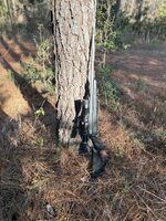 IMG_2057.jpeg