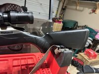 IMG_2099.jpeg