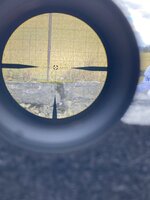 IMG_7876.jpeg