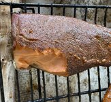 IMG_3026.jpeg IMG_3026.jpeg