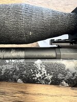 IMG_7281.jpeg
