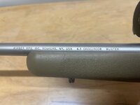 IMG_1664.jpeg