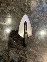 IMG_2868.jpeg