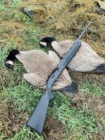 IMG_8700.jpeg