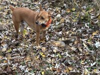 IMG_0006.jpeg
