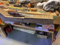 IMG_3001.jpeg