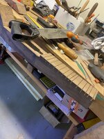 IMG_2999.jpeg