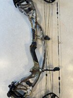 IMG_2180.jpeg