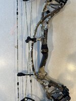 IMG_2181.jpeg