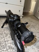 IMG_8584.jpeg