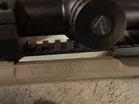 IMG_8762.jpeg