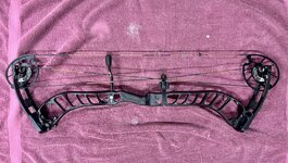 IMG_3144.jpeg