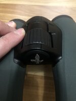 IMG_4829.jpeg