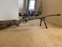 IMG_5446.jpeg