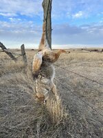 IMG_3859.jpeg