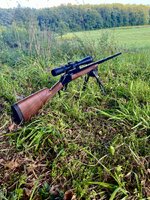 IMG_1782.jpeg