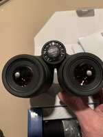 IMG_8535.jpeg