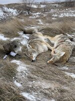 IMG_6947.jpeg