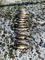 IMG_0305.jpeg