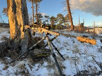 IMG_3856.jpeg