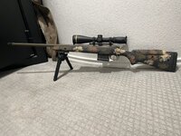 IMG_9667.jpeg