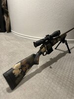 IMG_9669.jpeg