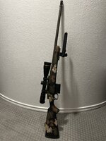 IMG_9672.jpeg