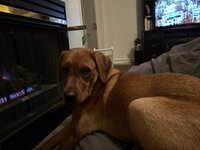 IMG_9044.jpeg
