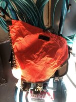 IMG_4237.jpeg