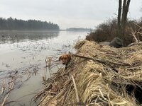 IMG_3142.jpeg