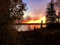 IMG_3808 2.jpeg