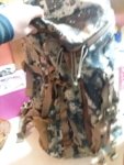 20190220_072924.jpg
