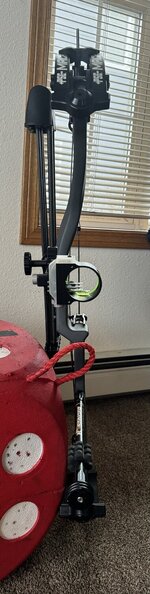IMG_7879.jpeg