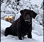 IMG_0362.jpeg