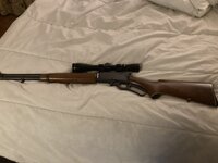 IMG_3376.jpeg
