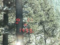 IMG_5777.jpeg