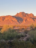 IMG_6943.jpeg
