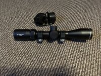 IMG_2699.jpeg