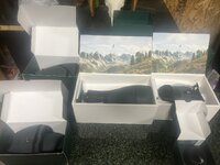 IMG_4100.jpeg