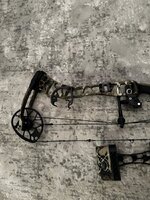 IMG_5427.jpeg